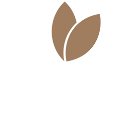 يوم الراحة